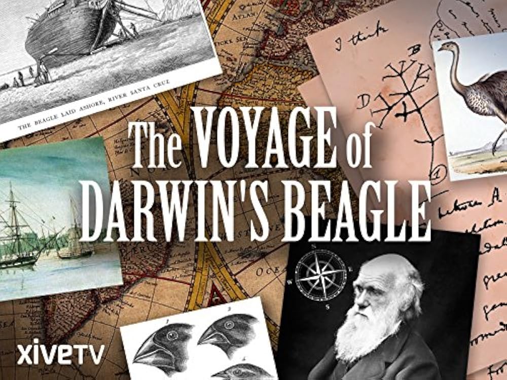 Voyage of Darwin's Beagle: On the Future of Species 