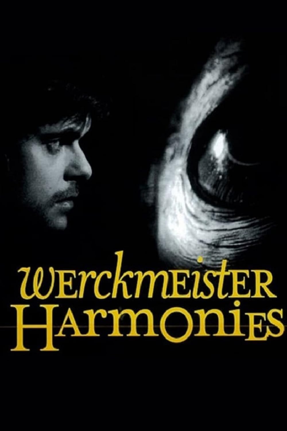 Werckmeister Harmonies 