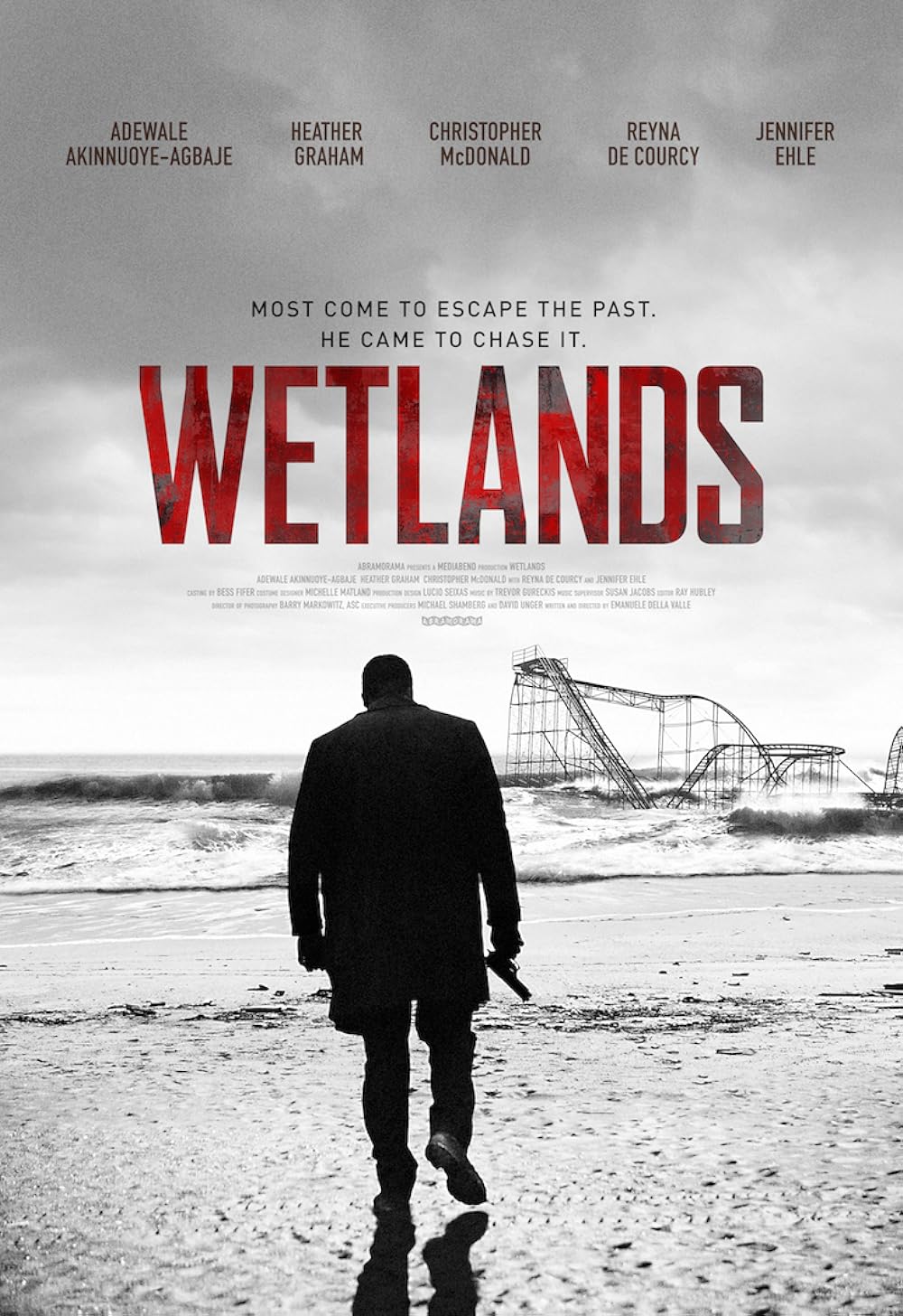 Wetlands 