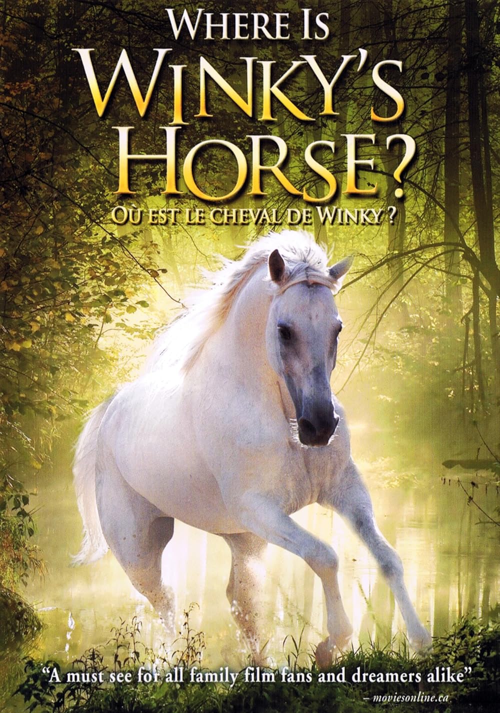 Where Is Winky's Horse? 