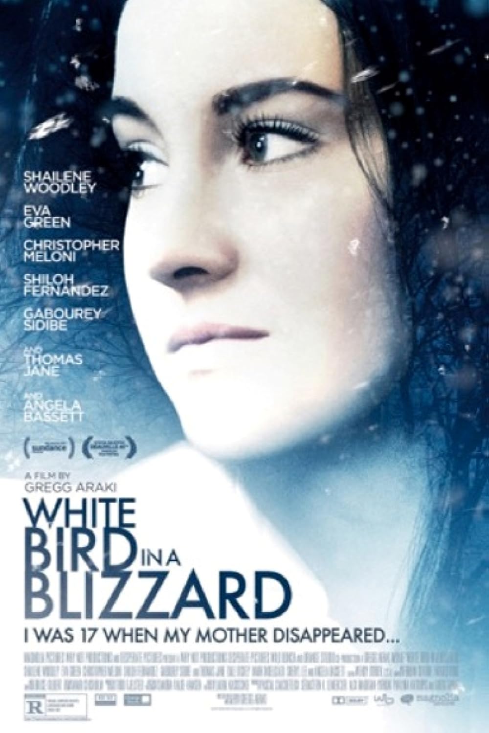 White Bird in a Blizzard 
