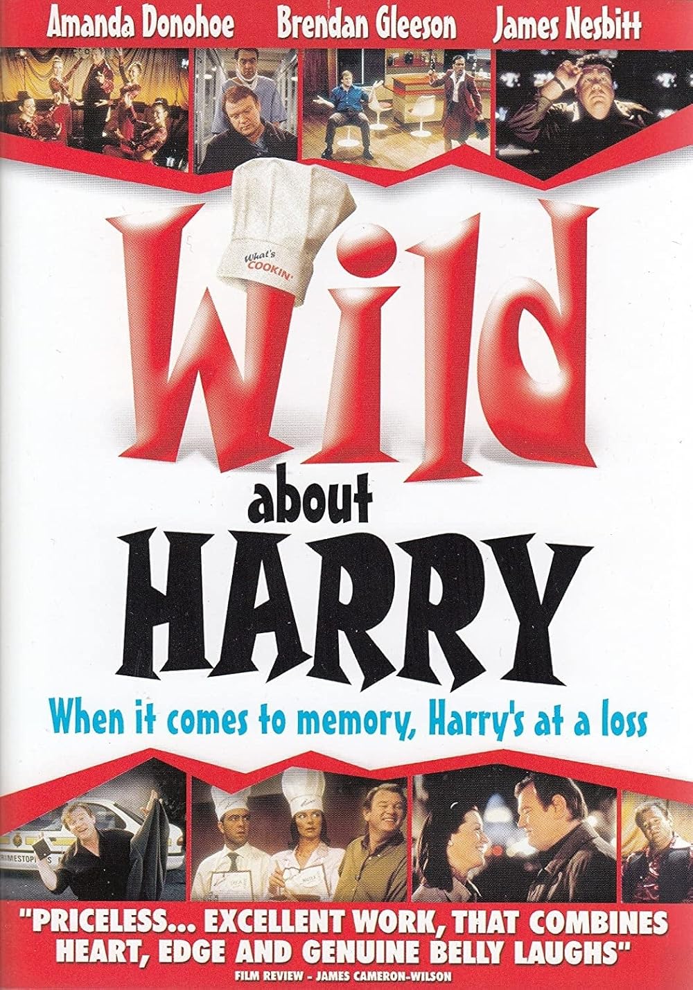 Wild About Harry 