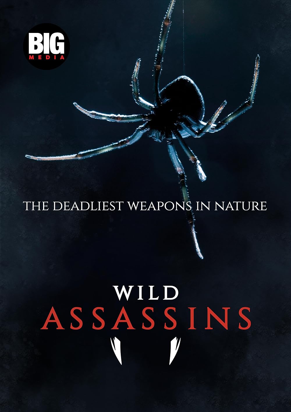 Wild Assassins 