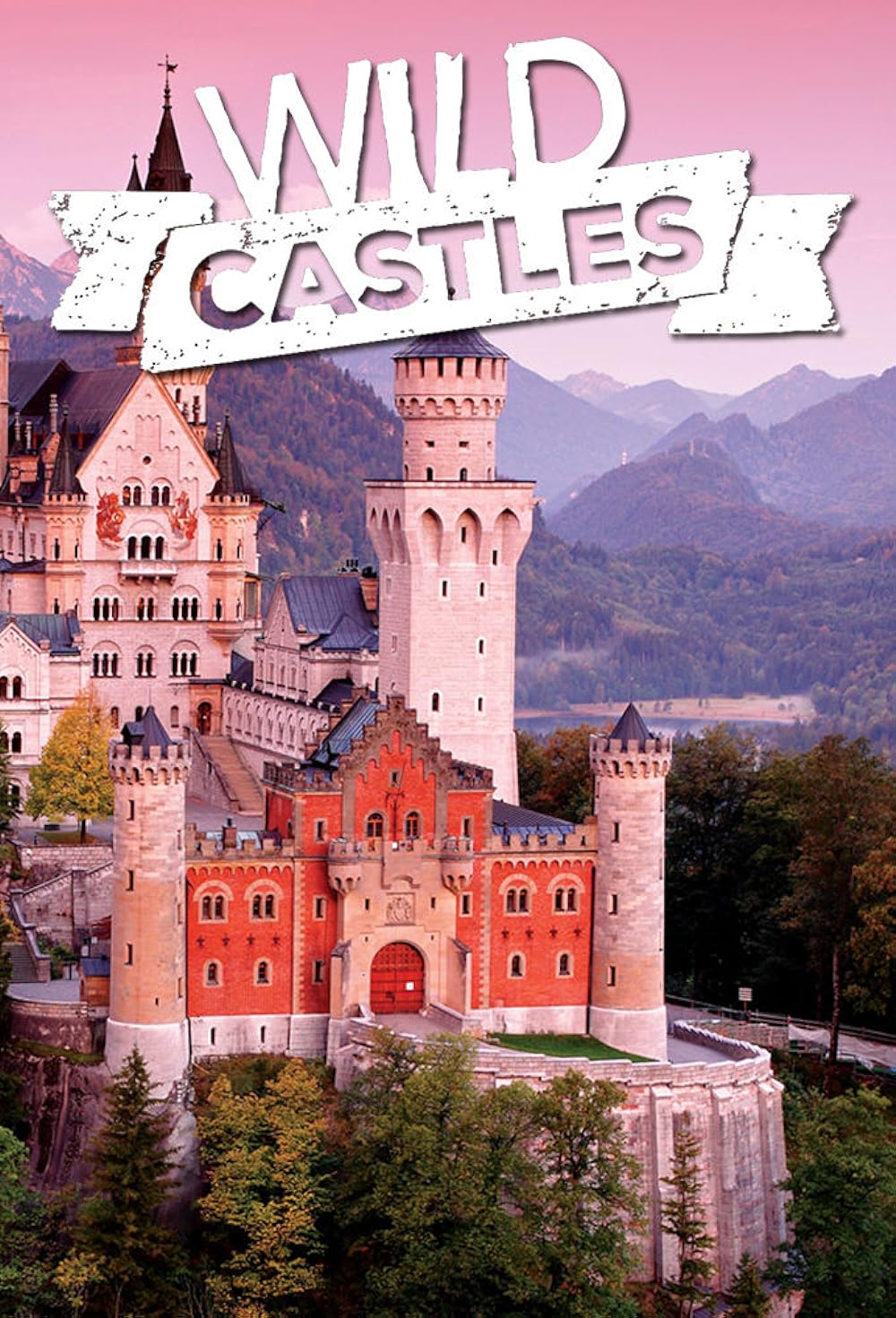 Wild Castles 