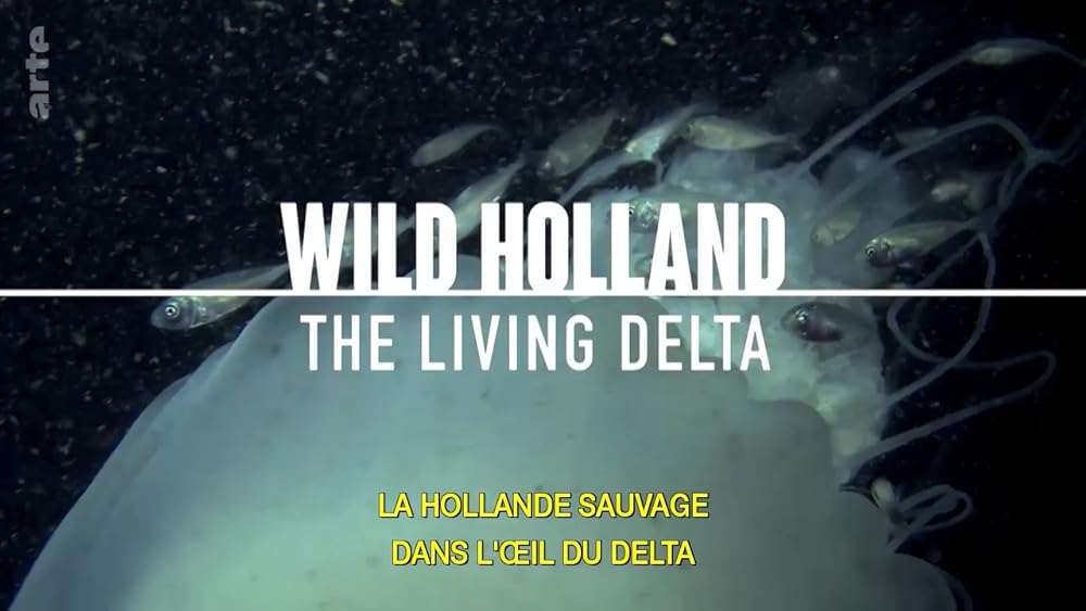 Wild Holland 