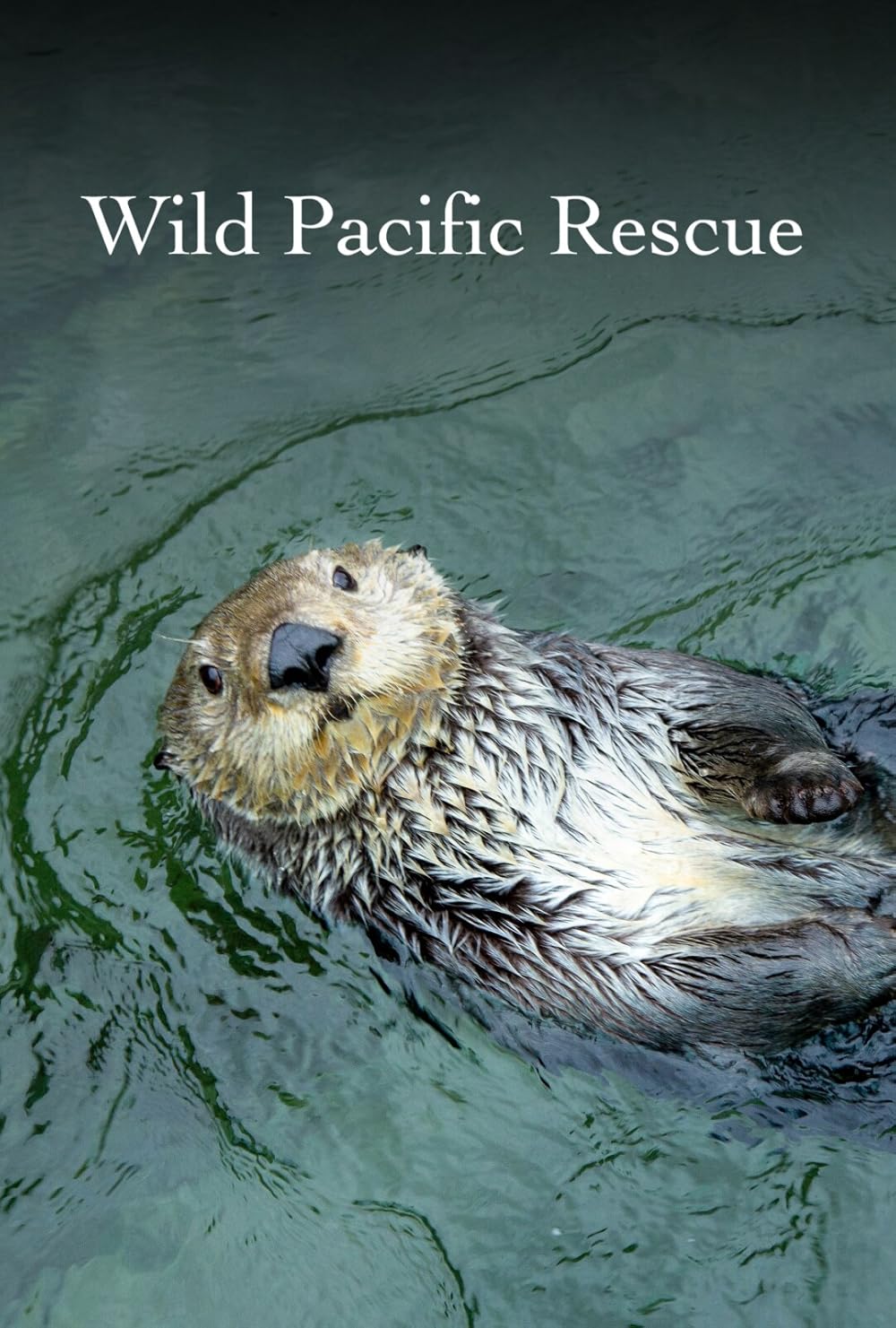 Wild Pacific Rescue 