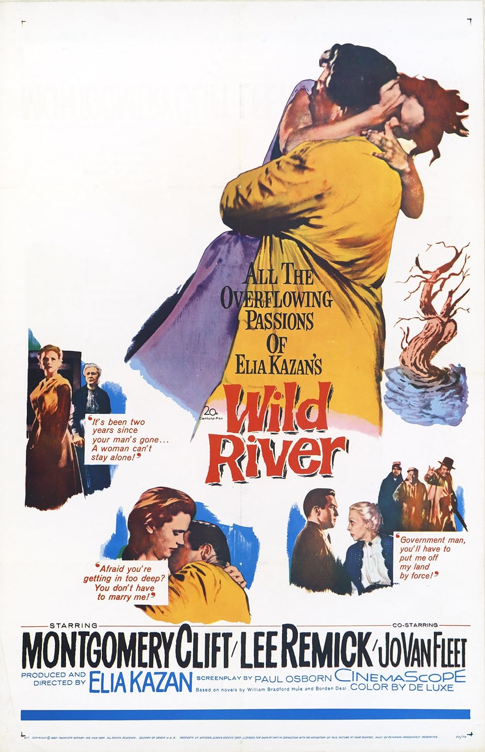 Wild River 