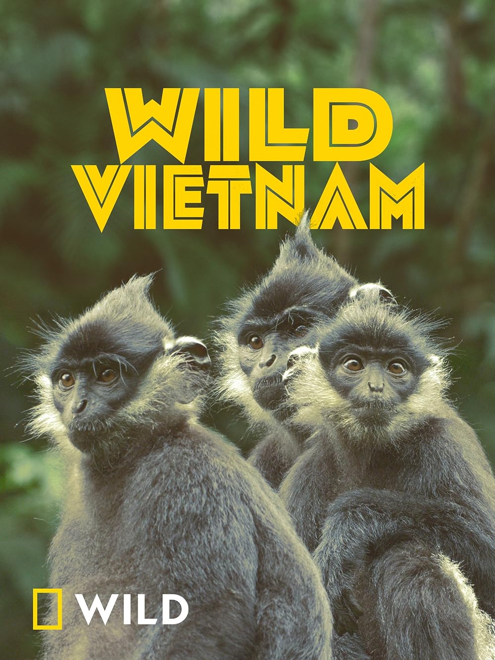 Wild Vietnam 