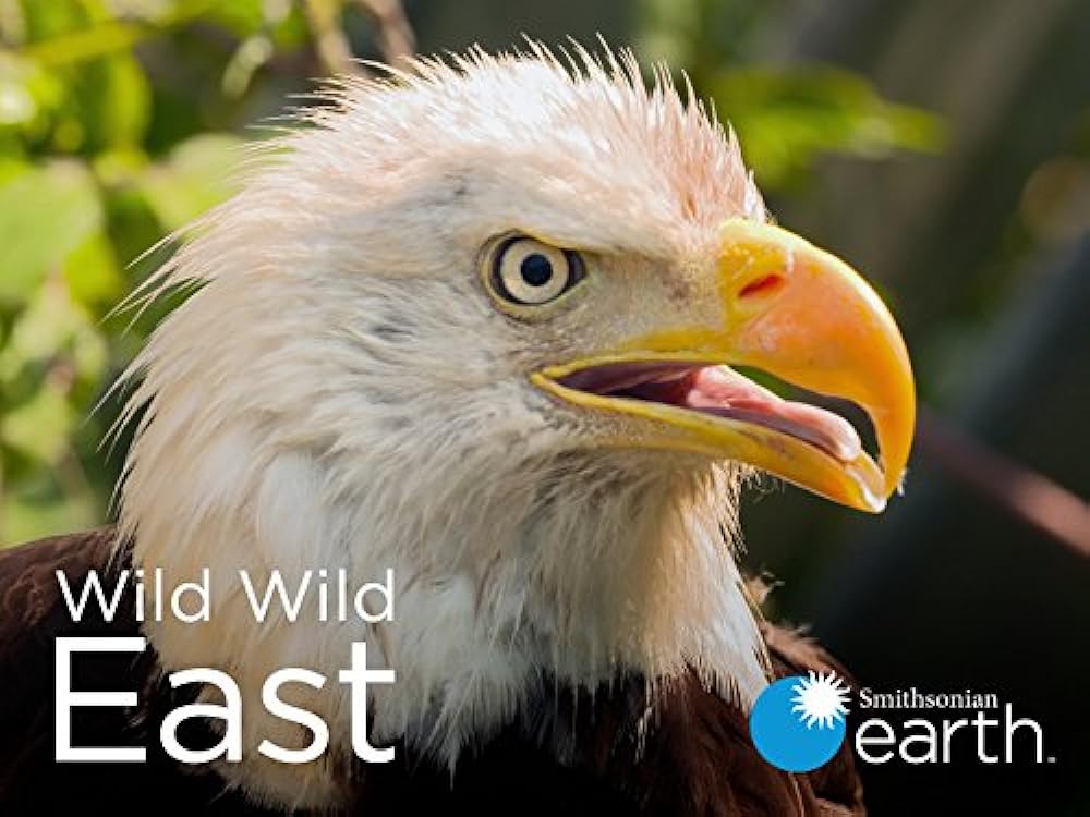 Wild Wild East 