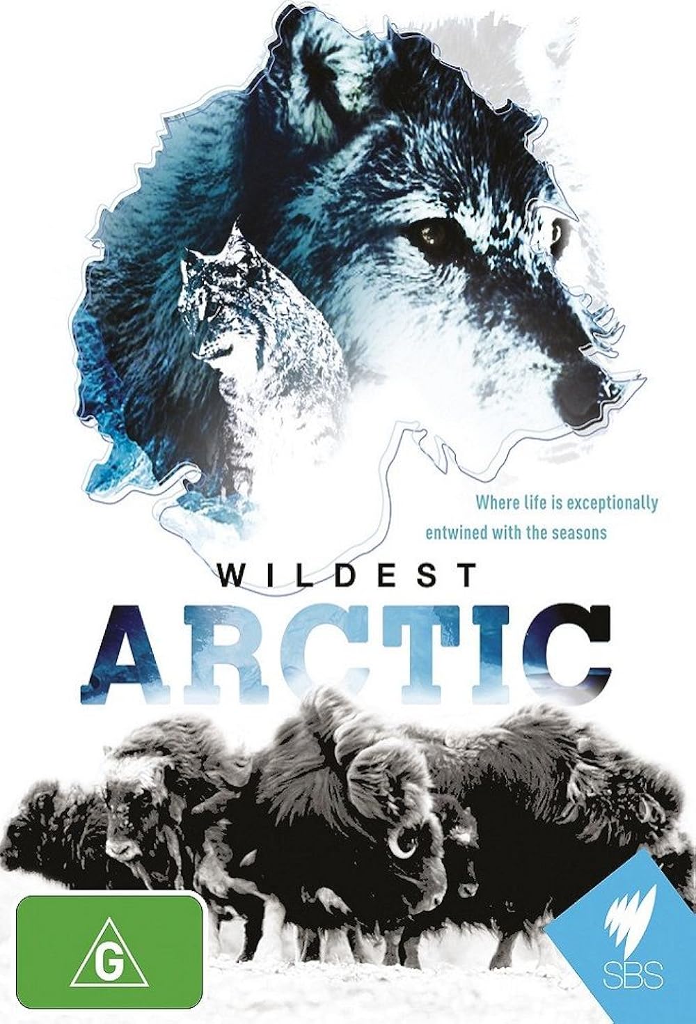 Wildest Arctic 