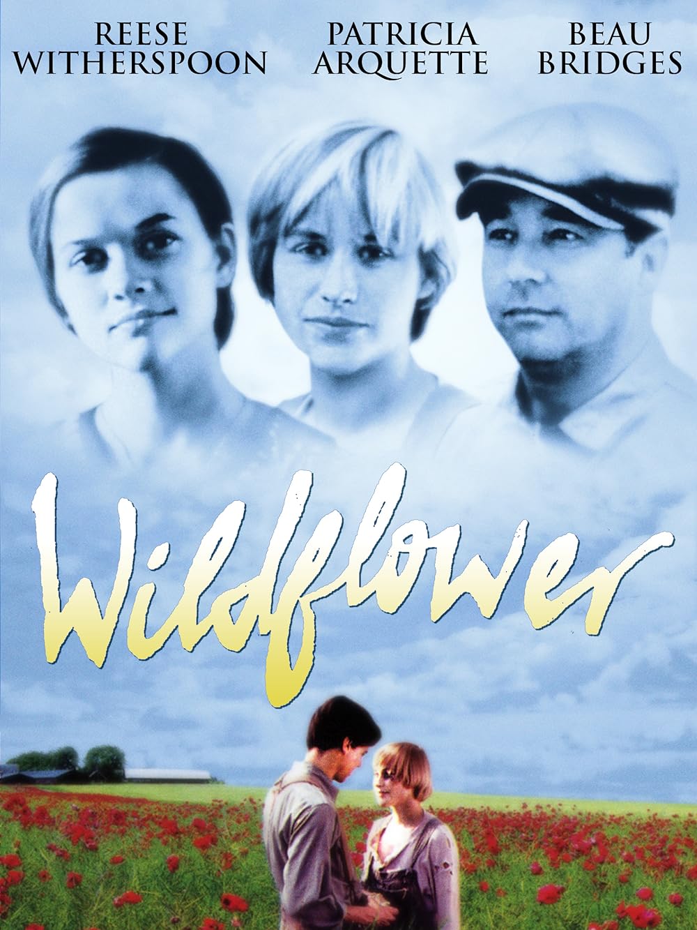 Wildflower 