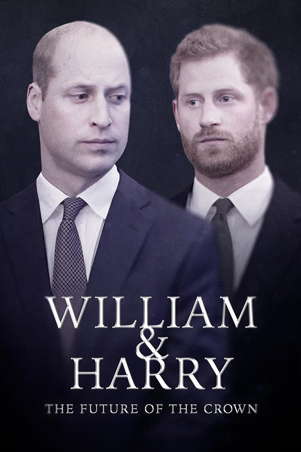 William & Harry: The Future of the Crown 