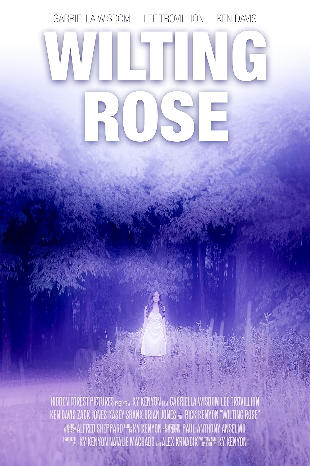 Wilting Rose 