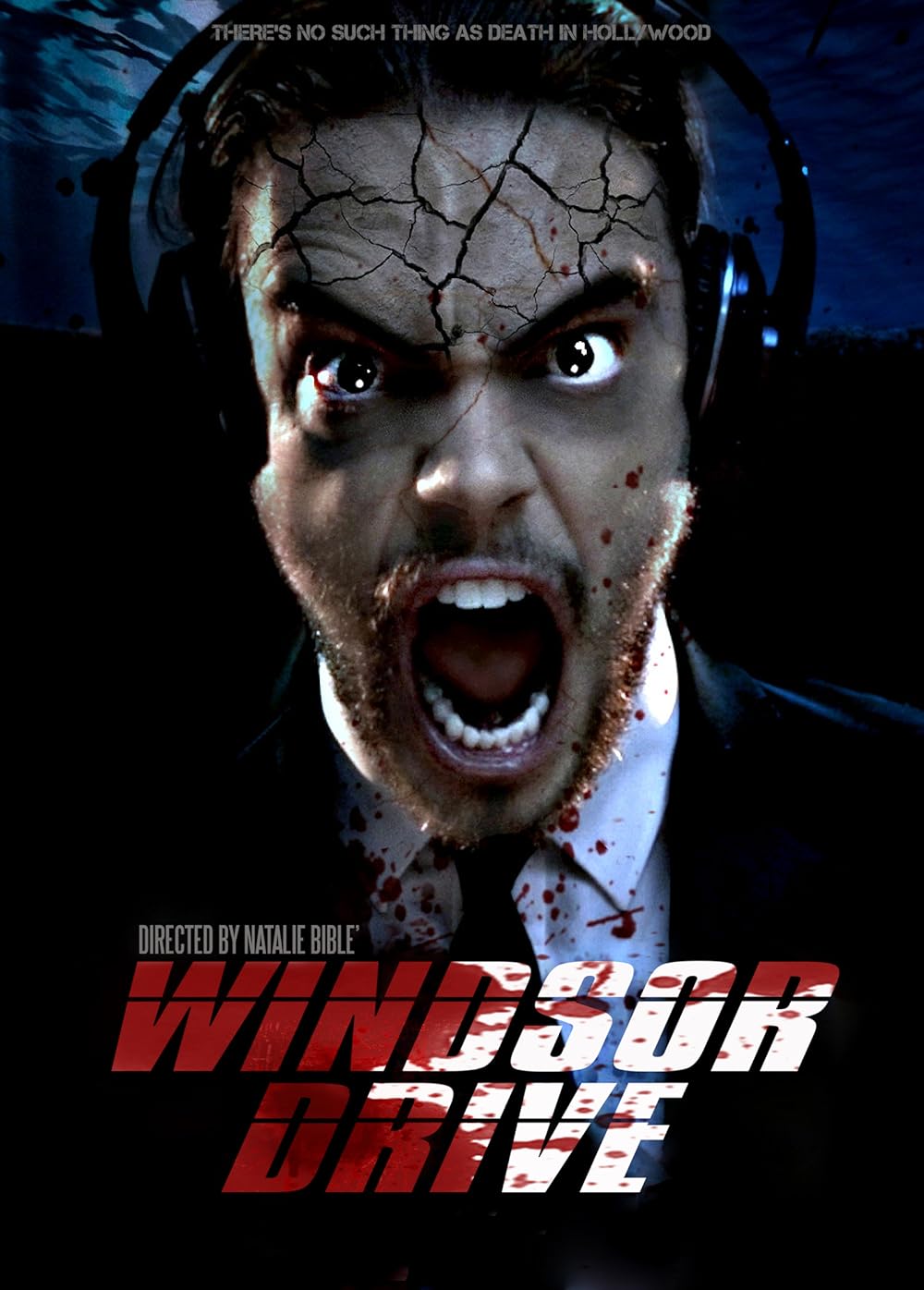 Windsor Drive 