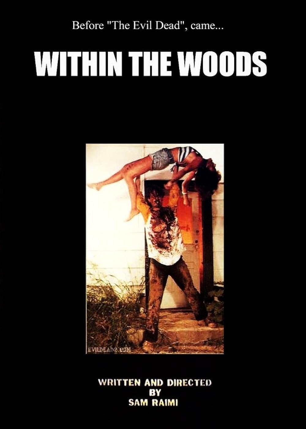 Within the Woods 