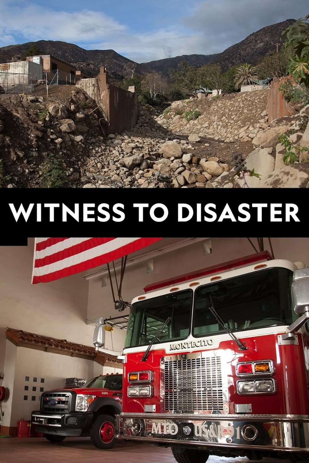 Witness to Disaster 