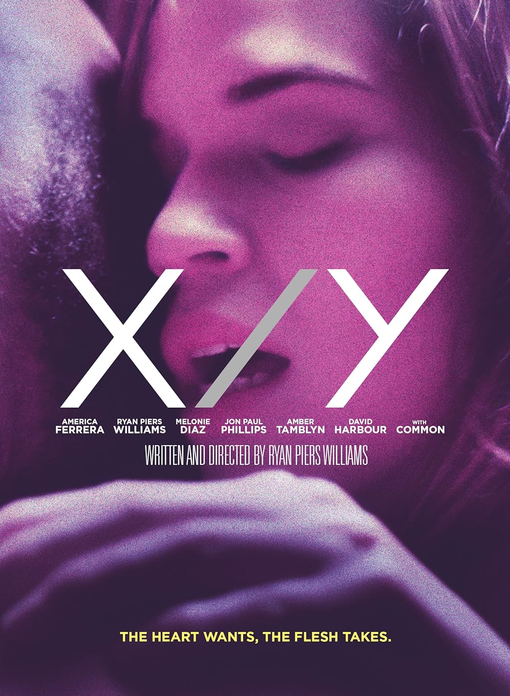 X/Y 